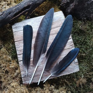 Pode incluir: Quatro penas de ave escuras e alongadas com bordas lisas e afiladas, e raquis centrais visíveis. As penas exibem tons de carvão, cinza escuro e preto, com sutis reflexos iridescentes ao longo das barbas, dispostas sobre uma tábua de madeira quadrada.