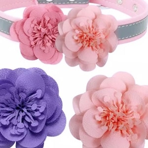 Chiffon Dog / Cat Flower  Collar accessory, available in variety of colors