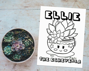 Echeveria Printable Succulent Cactus Colouring Page for Adults and Children, PDF Download and Print at Home