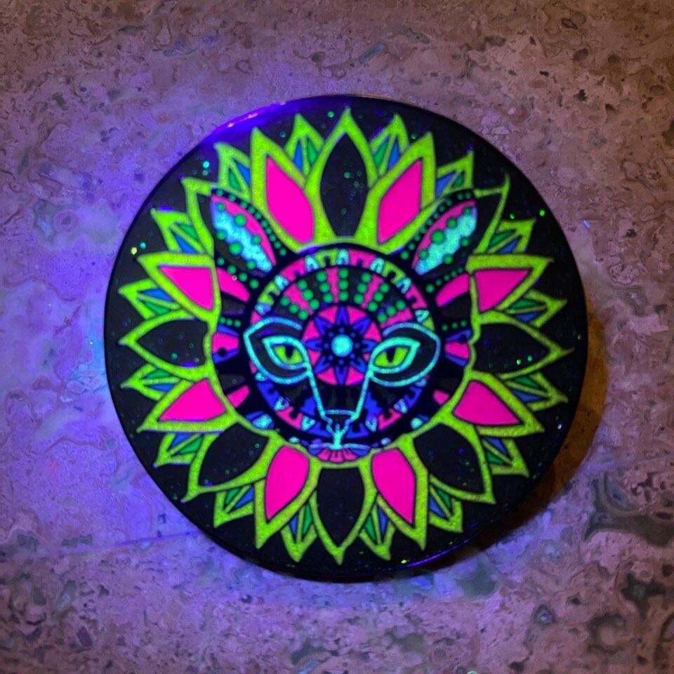 china cat sunflower instagram china cat sunflower instagram