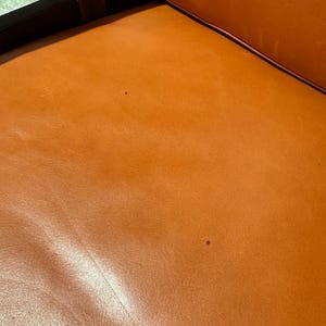 May include: Close-up of a brown leather chair seat with two small dark spots.