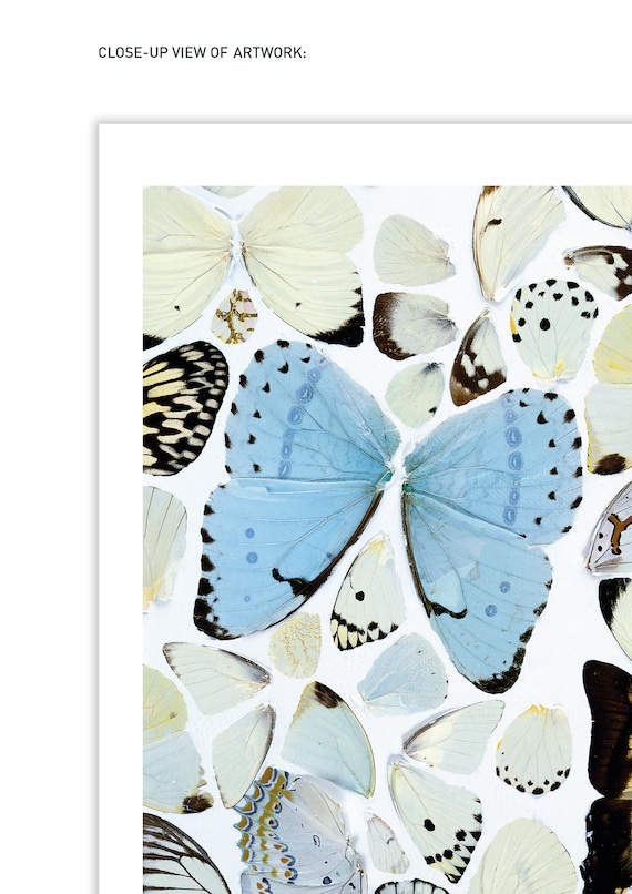 Damien Hirst Butterfly Paintings