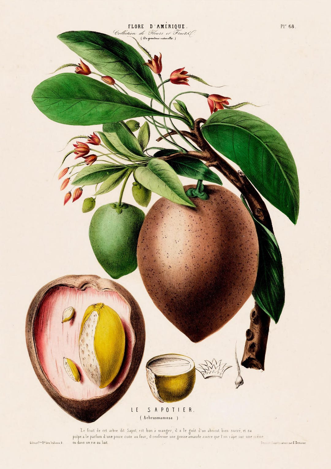 il_1080xN.7838184154_awuo.jpg