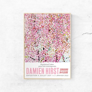 Damien hirst pill - Etsy 日本