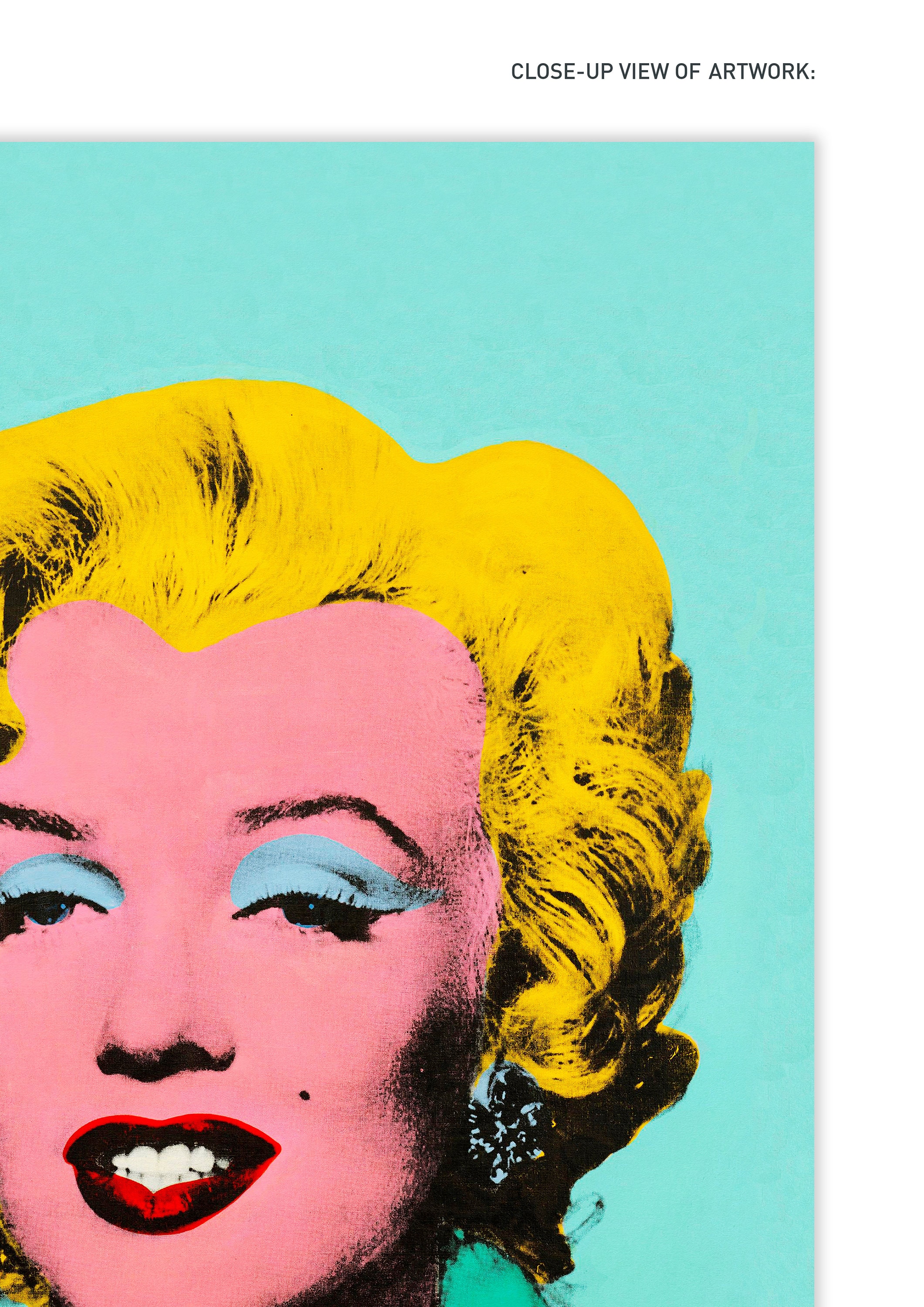 限定版リトグラフ アンディウォーホル AndyWarhol マリリンモンロー アンディ・ウォーホル - マリリン・モンロー (マリリン) (F. & S