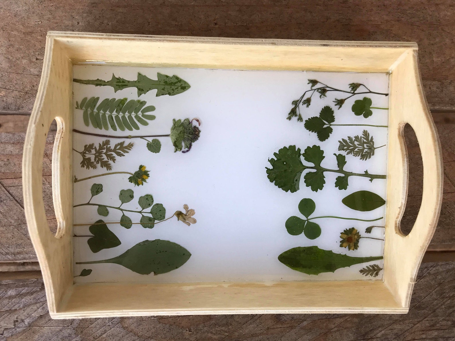 Mini Dried Flower Tray Wooden Nature Tray Resin Flower Etsy