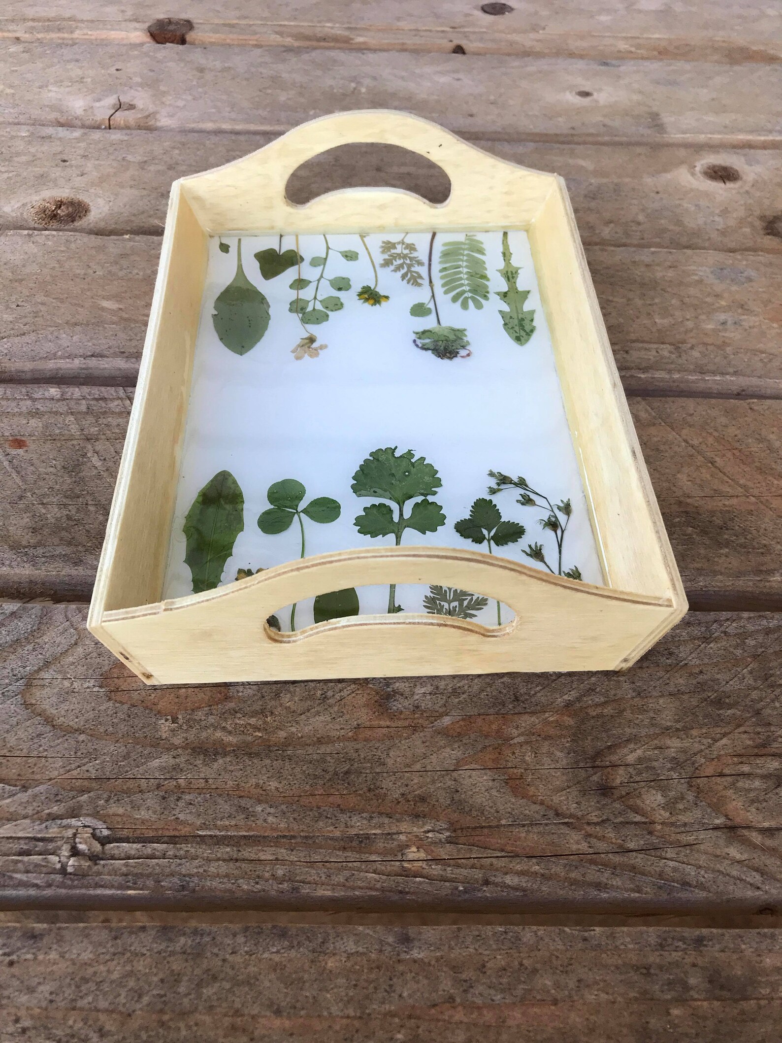 Mini Dried Flower Tray Wooden Nature Tray Resin Flower Etsy