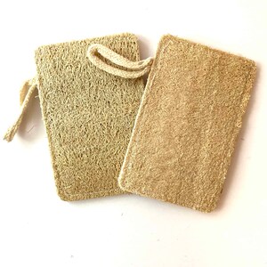 Natural and biodegradable loofah sponge in bulk image 6