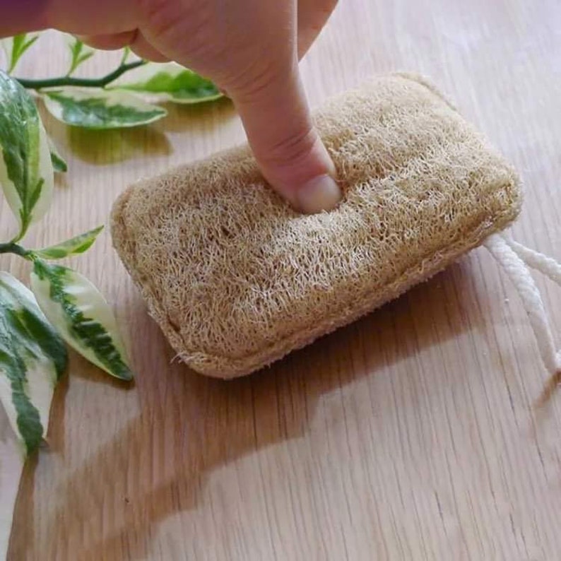 Natural and biodegradable loofah sponge in bulk image 3