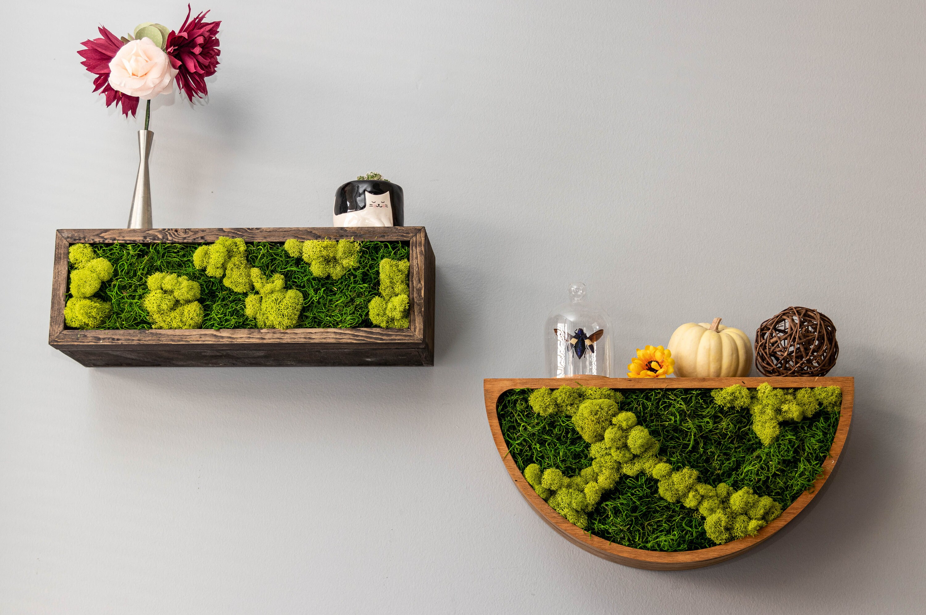 Rectangular Moss Floating Shelf/ Indoor Moss Art/ Natural Home Etsy