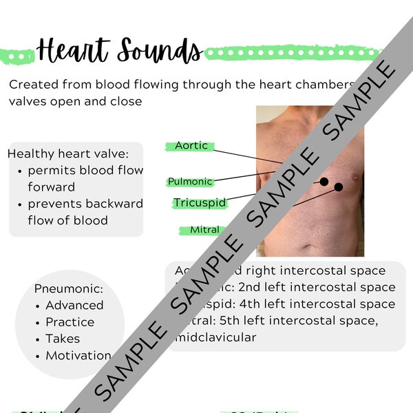 BUNDLE Heart/Lung Sounds- PDF Guide for Nurses/Nursing Students (4 pages) download for nursing students, clinical, RN, nursing notes,