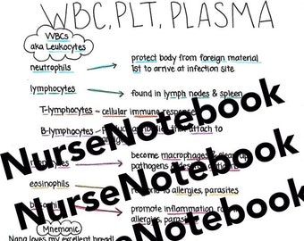 Blood Cells Anatomy & Physiology guide for nursing students, nurse practitioners, nursing school, study tips, cheat sheet, PDF download