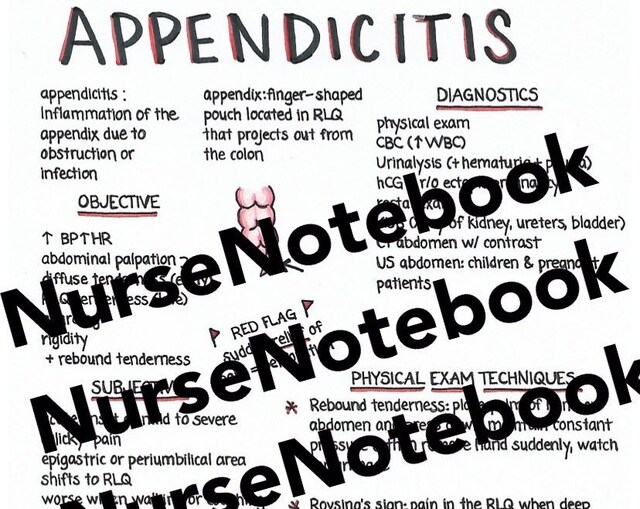 NurseNotebook - Etsy