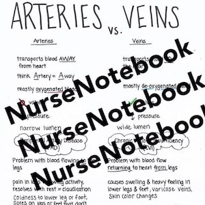 Artères et veines PDF à télécharger pour soins infirmiers, pré-soins infirmiers, anatomie et physiologie, éducation, étudiant en soins infirmiers, infirmière praticienne