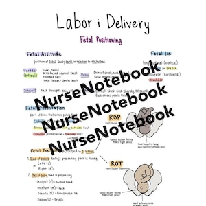 Forfait étudiant en soins infirmiers Travail et accouchement | Notes sur l'école d'infirmières | Guide d'étude manuscrit | Planificateur d'études pour écoles d'infirmières