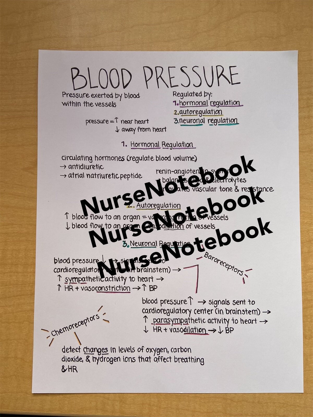 BLOOD PRESSURE IN ANATOMY AND PHYSIOLOGY visual data 6