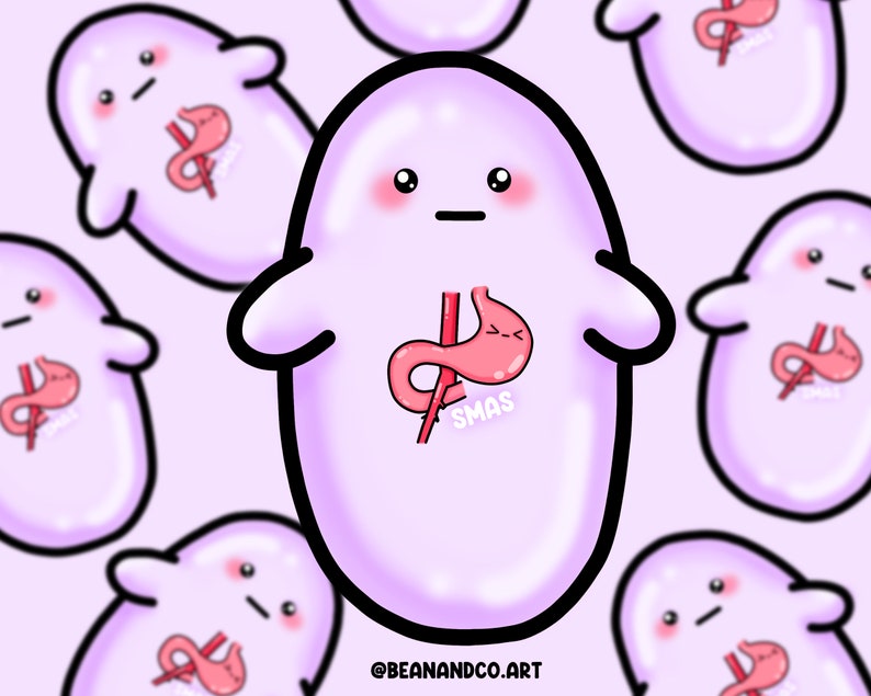 SMAS awareness bean sticker 5cm gloss sticker Superior Mesenteric Artery Syndrome image 1