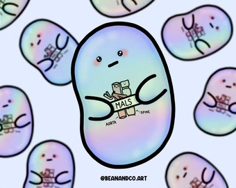 Holographic Median arcuate ligament syndrome (MALS) awareness bean sticker- 5cm rainbowsticker