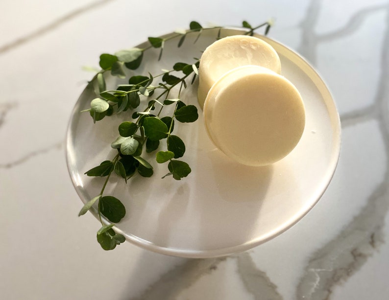 Zero Waste solid Dish Soap Barveganplastic Freekitchen Etsy