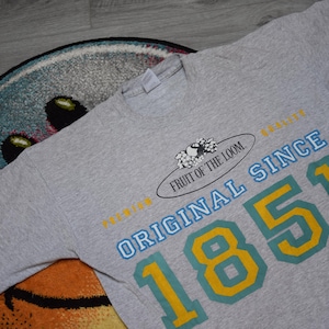 90s vintage Fruit of the Loom shirt Size Large Vtg gray big logo tee Sz L (vintage blank tee, FOTL)