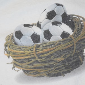 May include: Three white and black soccer balls are nestled in a brown twig nest.