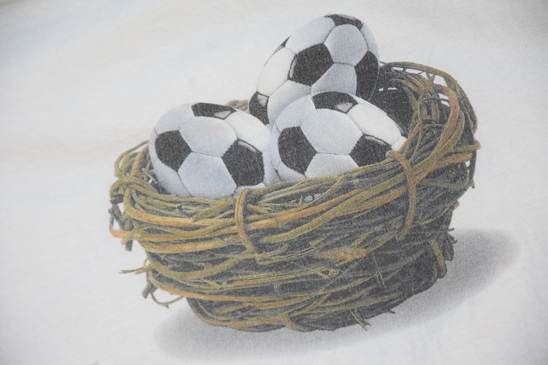 May include: Three white and black soccer balls are nestled in a brown twig nest.