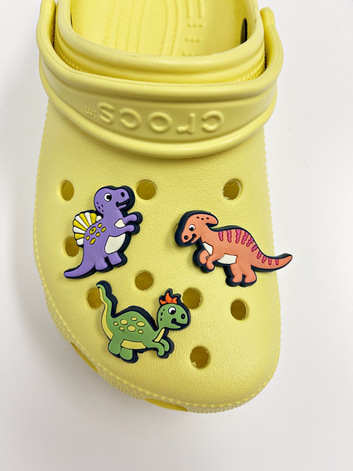 Crocs Charms/ Dinosaur Cute Crocs Charms/ Dinosaur Jibbitz Etsy