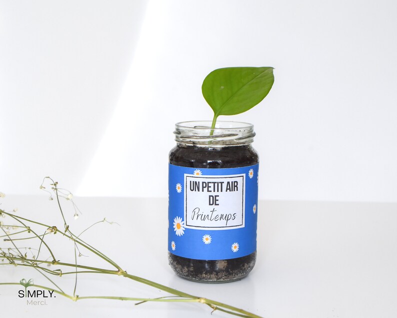 SimplyMerci – Coffret Cadeau Plantes SimplyMerci – Coffret Cadeau Plantes