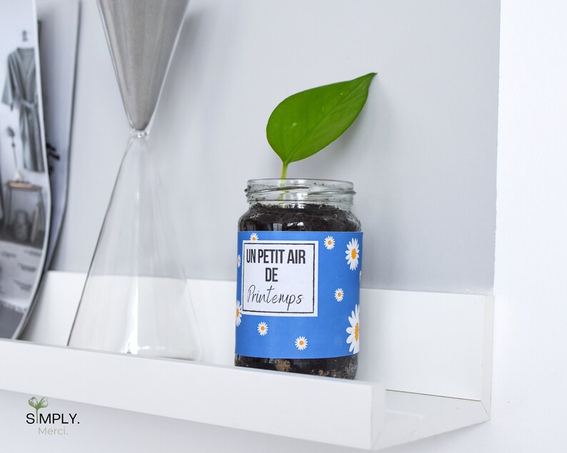 SimplyMerci – Coffret Cadeau Plantes SimplyMerci – Coffret Cadeau Plantes
