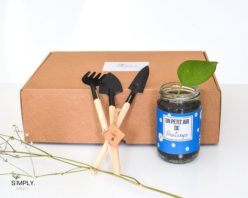 SimplyMerci – Coffret Cadeau Plantes SimplyMerci – Coffret Cadeau Plantes