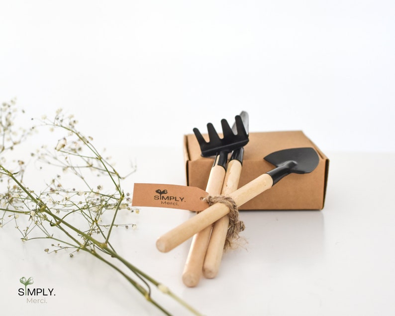 SimplyMerci – Coffret Cadeau Plantes SimplyMerci – Coffret Cadeau Plantes