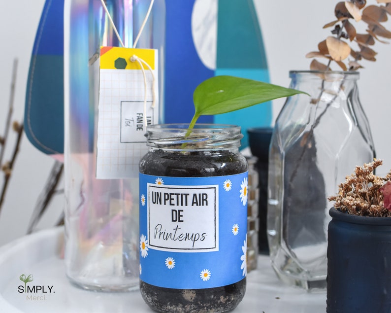 SimplyMerci – Coffret Cadeau Plantes SimplyMerci – Coffret Cadeau Plantes