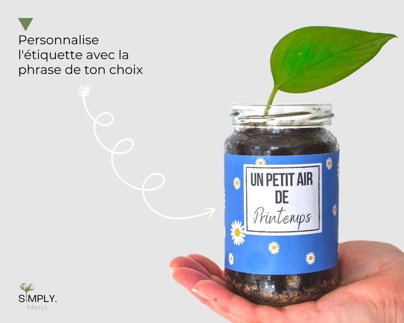 SimplyMerci – Coffret Cadeau Plantes SimplyMerci – Coffret Cadeau Plantes