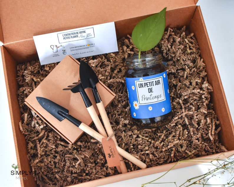 SimplyMerci – Coffret Cadeau Plantes SimplyMerci – Coffret Cadeau Plantes