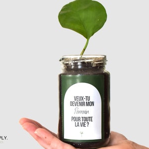 Coffret cadeau pour demande parrain | Plante personnalisée avec message pour parrain  | Veux-tu Devenir mon parrain pour toute la vie ?