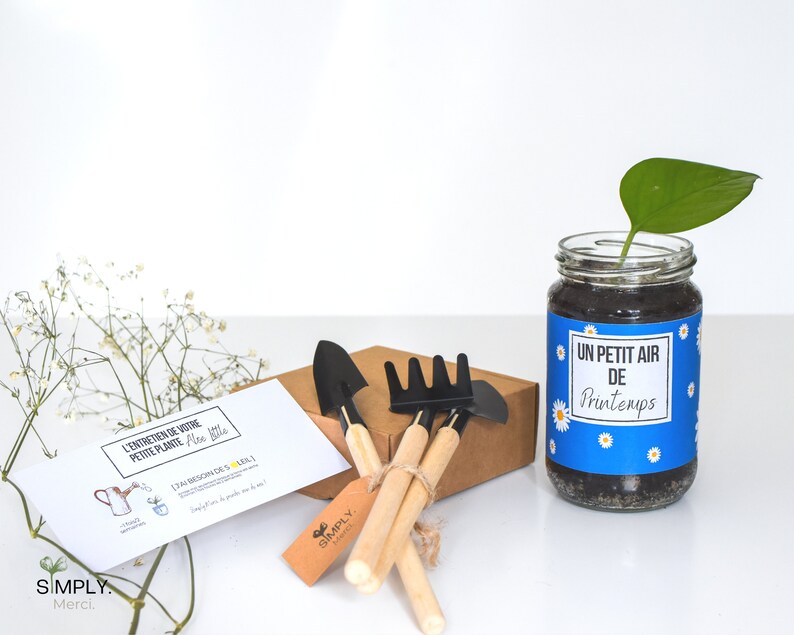 SimplyMerci – Coffret Cadeau Plantes SimplyMerci – Coffret Cadeau Plantes