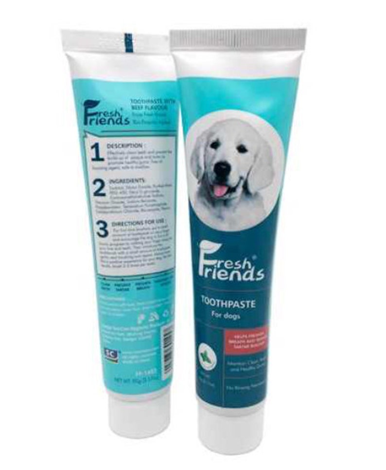 Fresco amigos pasta de dientes perro sabor a menta | Etsy