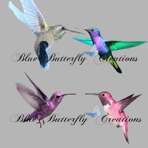 May include: Four hummingbirds with colorful feathers and wings are flying in different directions. Two of the hummingbirds are facing each other, while the other two are flying away from each other. The hummingbirds are all in focus, and the background is a light gray. The text "Blue Butterfly Creations" is written in cursive at the bottom of the image.