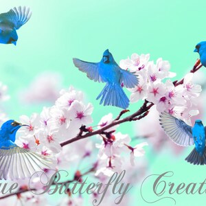 Sobreposições de pássaros de inverno, clipart de pássaros azuis voadores, clipart de pássaros azuis em vôo, sobreposições de pássaros de neve, clipart de criação de cartões, clipart de convite