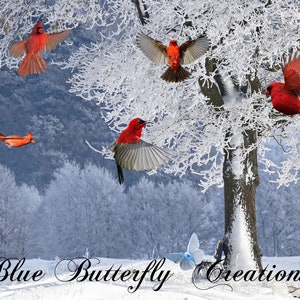 Sobreposições de pássaros vermelhos voadores, sobreposições de pássaros de inverno, clipart composto de fotografia, clipart SnowBird, gráficos de convite