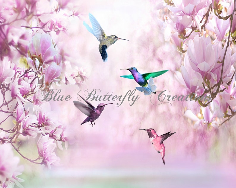 May include: Four colorful hummingbirds in flight against a background of pink magnolia blossoms. The hummingbirds are flying in different directions, and the blossoms are in full bloom. The image has a soft, dreamy feel.