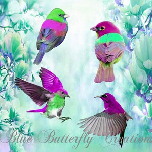 Sobreposições de pássaros coloridos, clipart de pássaros coloridos, clipart de primavera verão, clipart de pássaros lindos, clipart de pássaros tropicais, pássaros verdes roxos