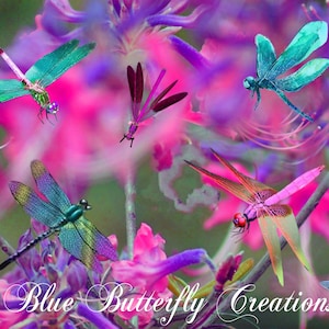 Dragonfly PNG Overlays, Dragonfly clip art, Dragonfly uitnodiging clipart, Dragonfly fotocomposieten, Kaart maken clipart