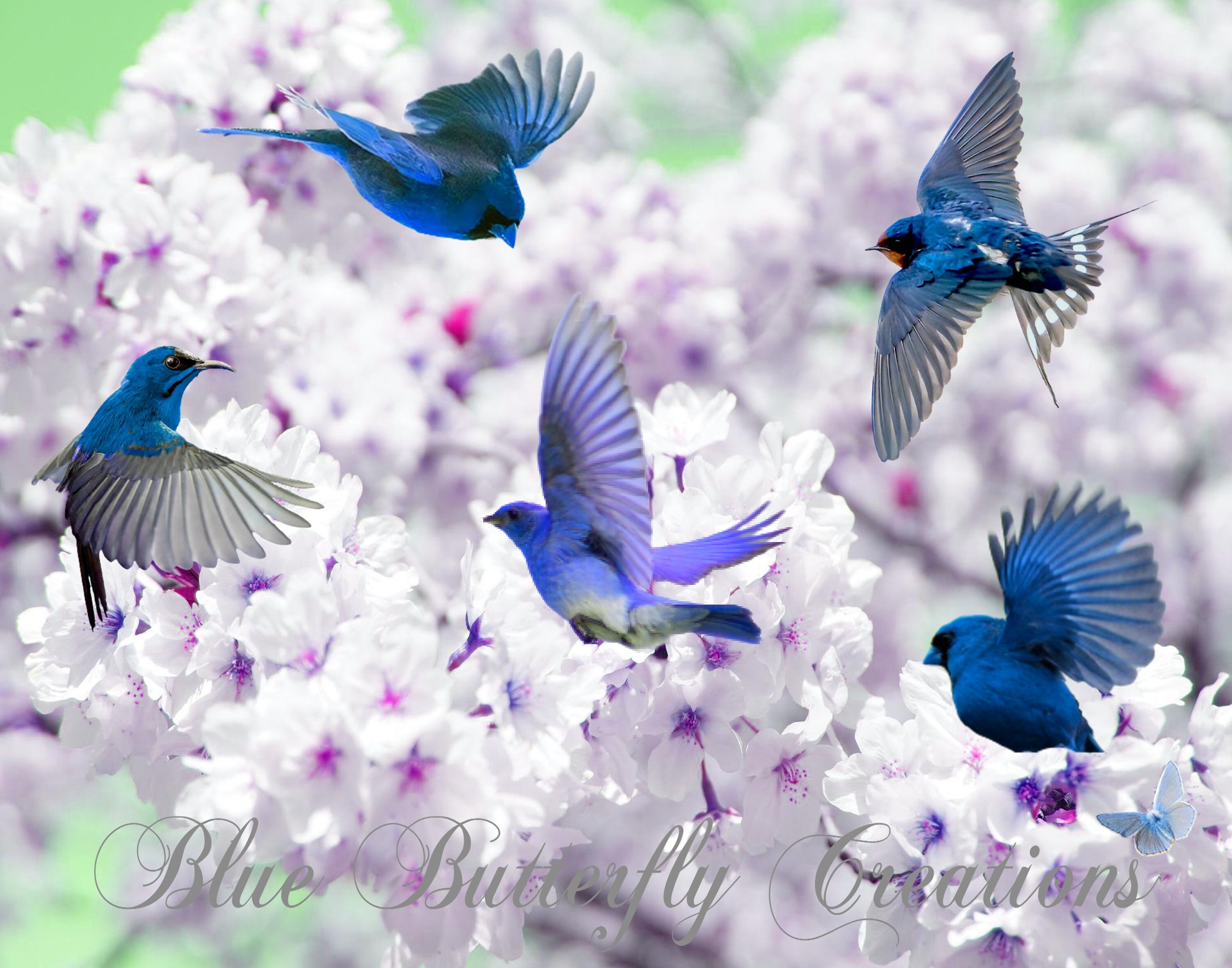 Flying Blue Bird Clipart, Winter Blue Birds, Blue Birds in Flight ...