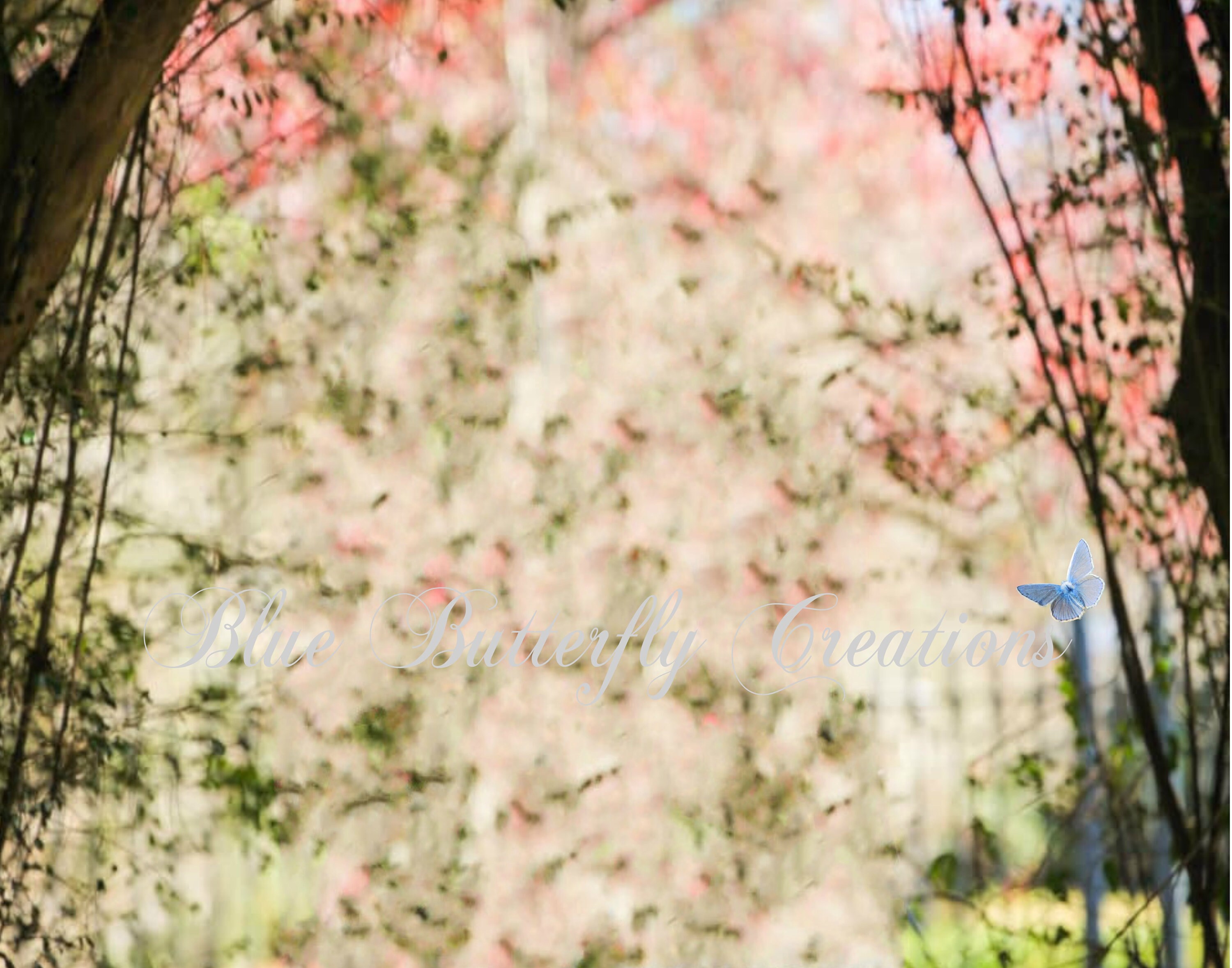 Cherry blossom digital wedding overlay Pastel floral Etsy