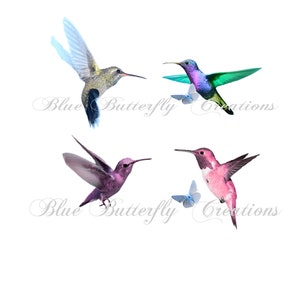 May include: Four hummingbirds in flight, two are purple, one is green and one is gray.  The hummingbirds are flying against a white background.