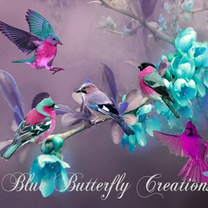 Sobreposições de pássaros coloridos, clipart de pássaros coloridos, clipart de primavera verão, clipart de pássaros lindos, clipart de pássaros tropicais, pássaros roxos rosa