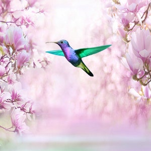May include: A vibrant purple and green hummingbird flies through a field of pink magnolia blossoms.
