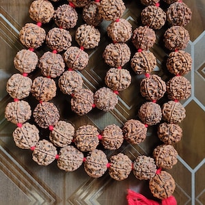 5 Mukhi Rudraksha Kantha Siddha Mala 55 Beads Nepal Beads