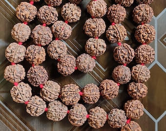 5 Mukhi Rudraksha Kantha Siddha Mala 55 Beads Nepal Beads